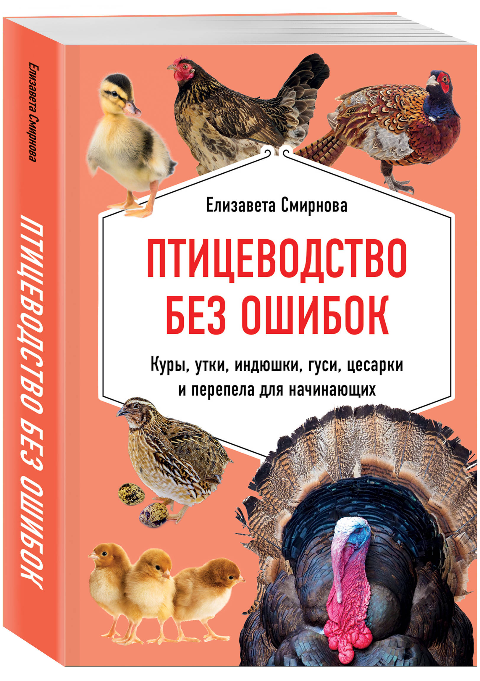 Птицеводство без ошибок. Куры, утки, индюшки, гуси, цесарки и перепела для  начинающих | Интернет-магазин «Книжные новинки»